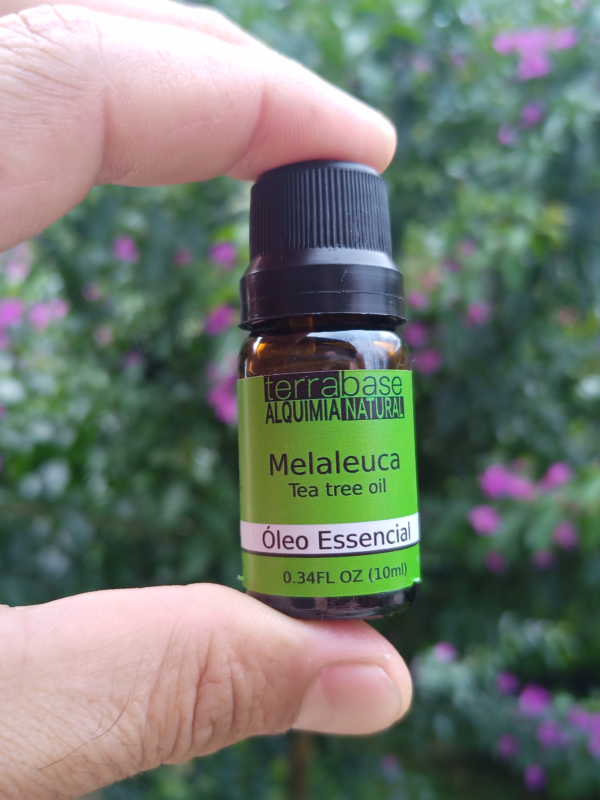 puro óleo essencial de melaleuca (tera tree)